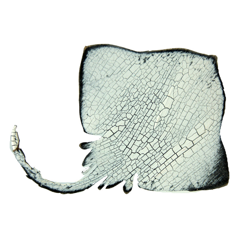 Décoration murale aimant Stingray