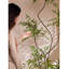 Faux arbre artificiel en bambou