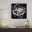 « saumon rose vii, b&w » par magda indigo, reproduction d’art sur toile-73551280-73551281-73551282