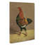 Fighting Cock Vol.1 by John Frederick Herring - Wrapped Canvas Painting-61876937