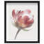 Crimson Core II Shadowbox Abstract Print by Oliver Gal, Black Frame, 16 x 20-69671232-69671244
