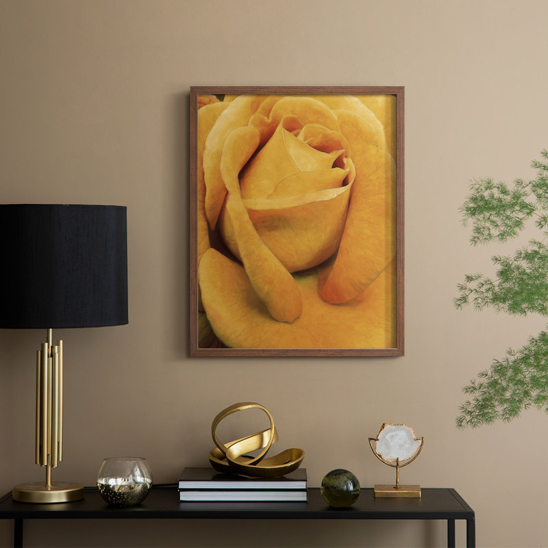 «Soft Flower Petals IV», reproduction encadrée - bois massif, H 11 po x l 9 po, Noyer