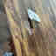 Customer photo 4 of 4
