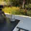 Customer photo 6 of 6