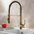 GAWEZA Pull Down Kitchen Faucet-80366155