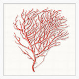 Red Branch Coral 6 Print by Lillian August