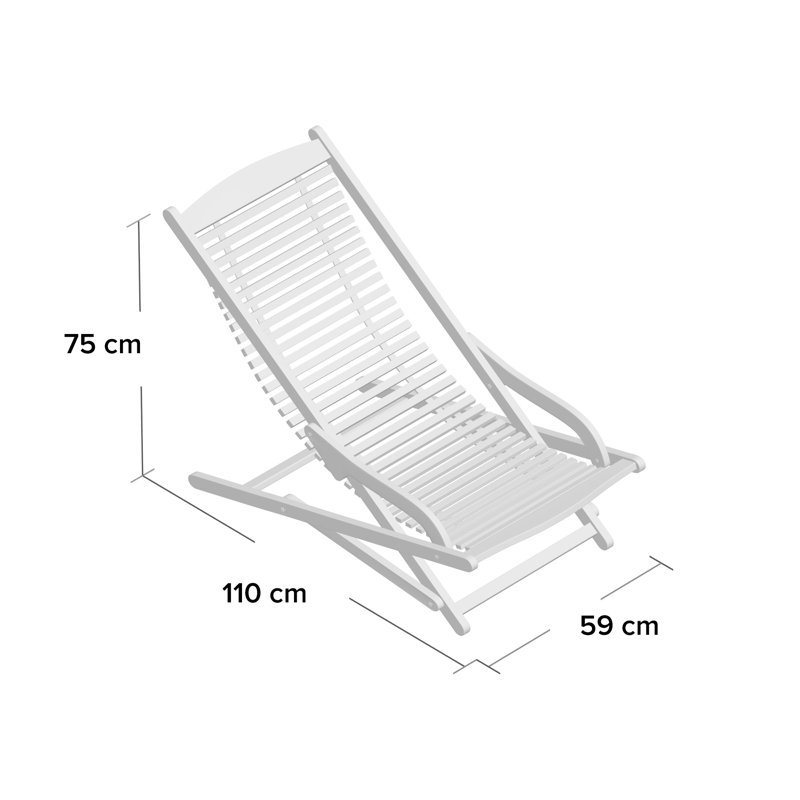 Roiguez Folding Beach Chair