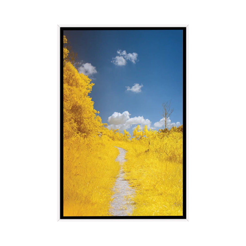 The Path by Glauco Meneghelli - Floater Frame Print on Canvas