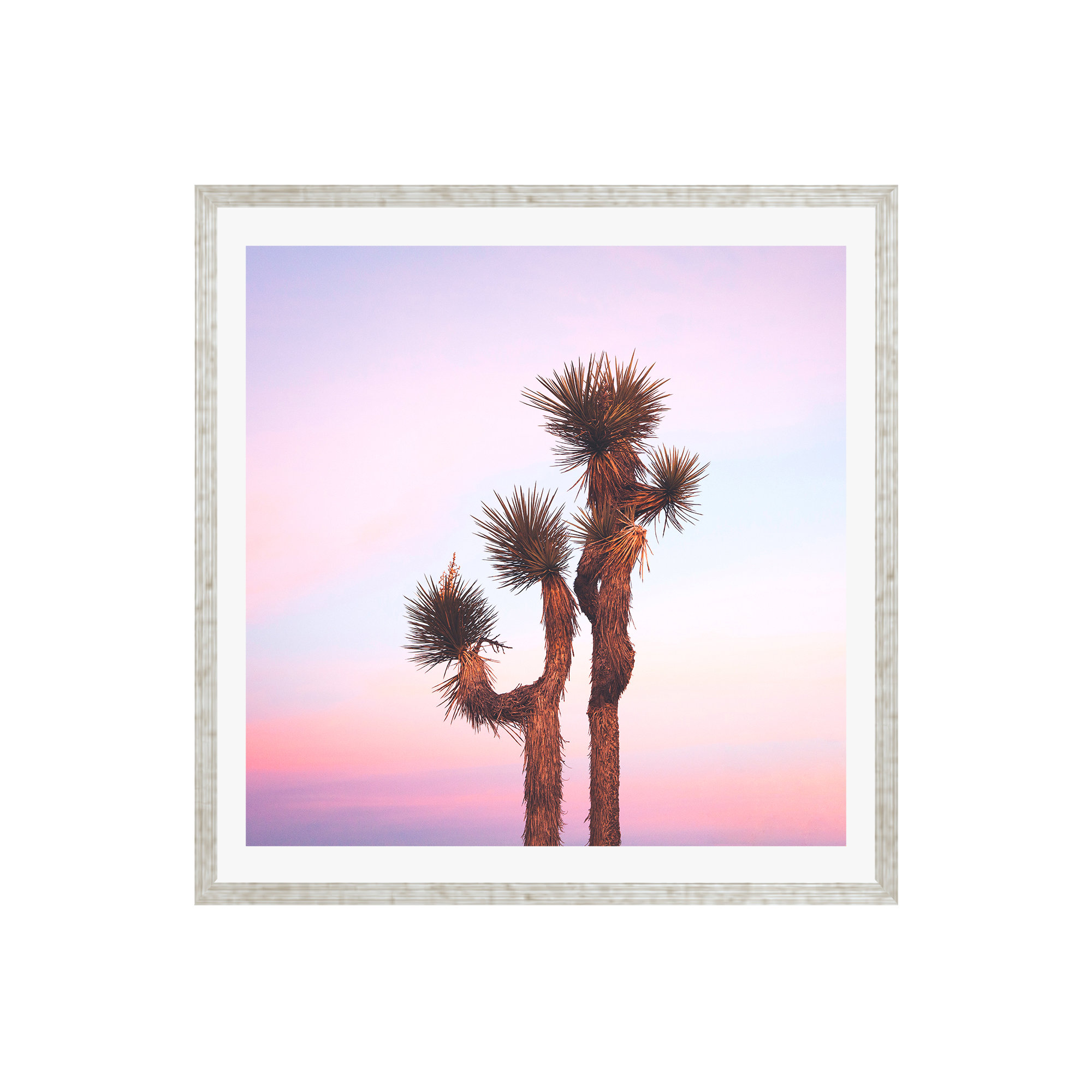 Desert Skies by Catherine McDonald, Silver Single Picture Framed, 12" H x 12" W x 0.75" D, Yes