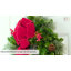 Cintres à couronne ajustables Adapt Top & Longueur-116575660