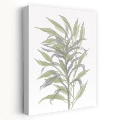 Art contemporain contemporain abstrait minimaliste bambou nature plante