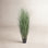 Gazon vert en pot Kellan