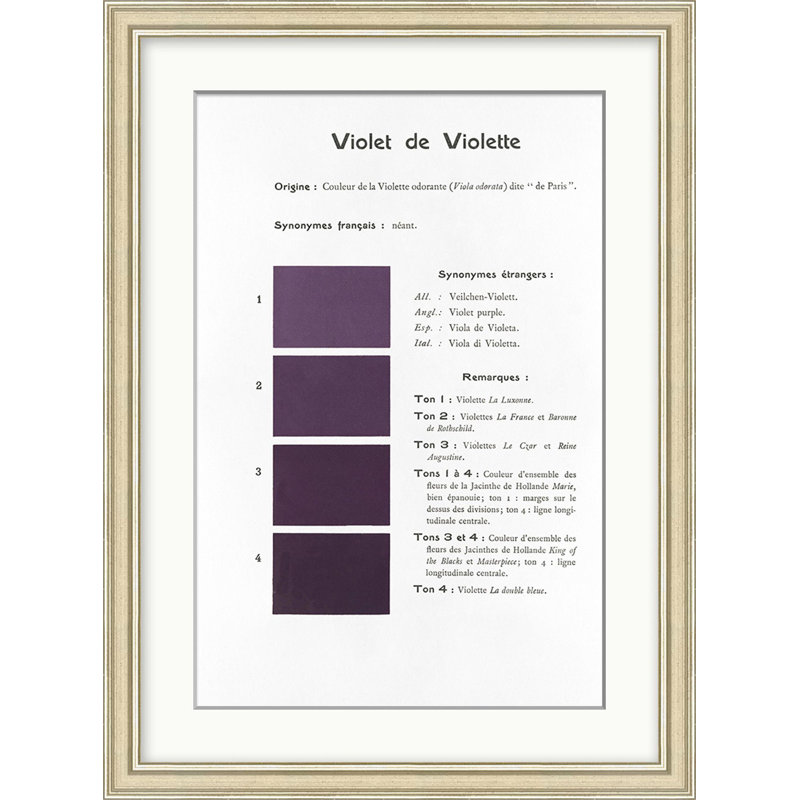 Violet 8 Print by Danielle Rollins