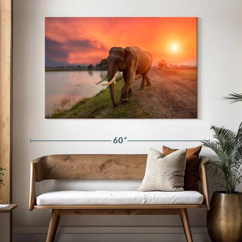Éléphant de Surin, Thaïlande, H 34 po x l 51 po