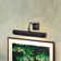 Leo Dimmable Wall Mount Picture Light