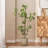 4FT ARTIFICIAL PIERIS TREE(1Pack)