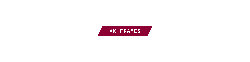 AK FRAMES logo