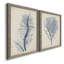 Indigo Coral-1687557483-1687523536-1687523541