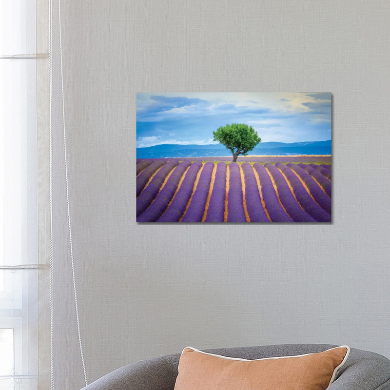Europe, France, Provence, Valensole Plateau. Field Of Lavender And Tree. by Jaynes Gallery - Wrapped Canvas Print