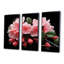 Cascade rose fuchsia - art mural fuchsia-172137907-172137909
