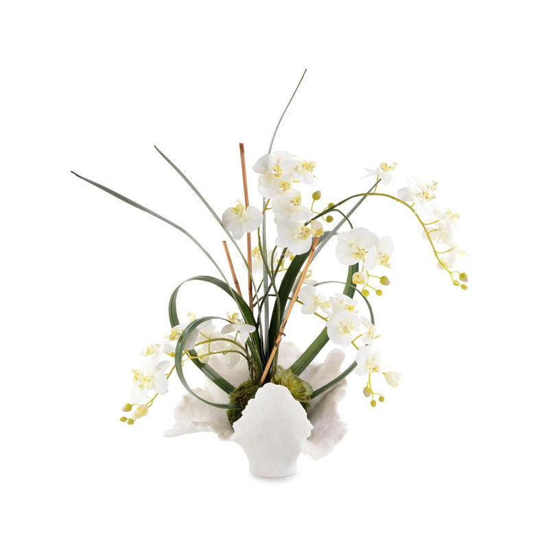 White Phalaenopsis Orchids Arrangements in Vase