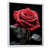 White Floater Framed