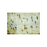 Flock Of Seagulls Print