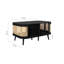 Amanni 1 Piece Coffee Table-1005973567