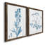 "Antique Botanical In Blue III", ensemble de 2 peintures sur toile encadrées-124724873-124725111