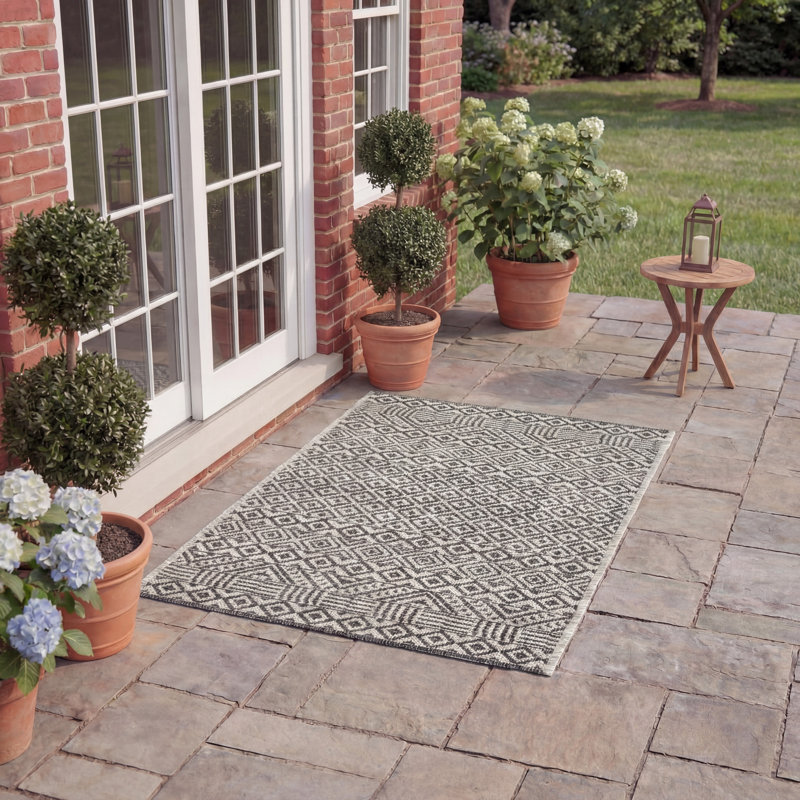 Delacruz Performance Southwestern Indoor/Outdoor Area Rug, Runner 2'3" x 5'