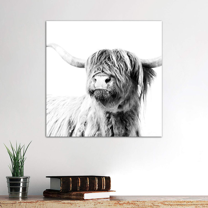 Highland Cattle Frida Black And White Square by Monika Strigel - Wrapped Canvas Print, 66.04 cm H x 66.04 cm W x 1.91 cm D