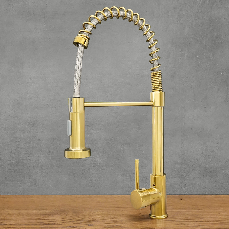 Belfry Kitchen Kitchen Faucet, Gold