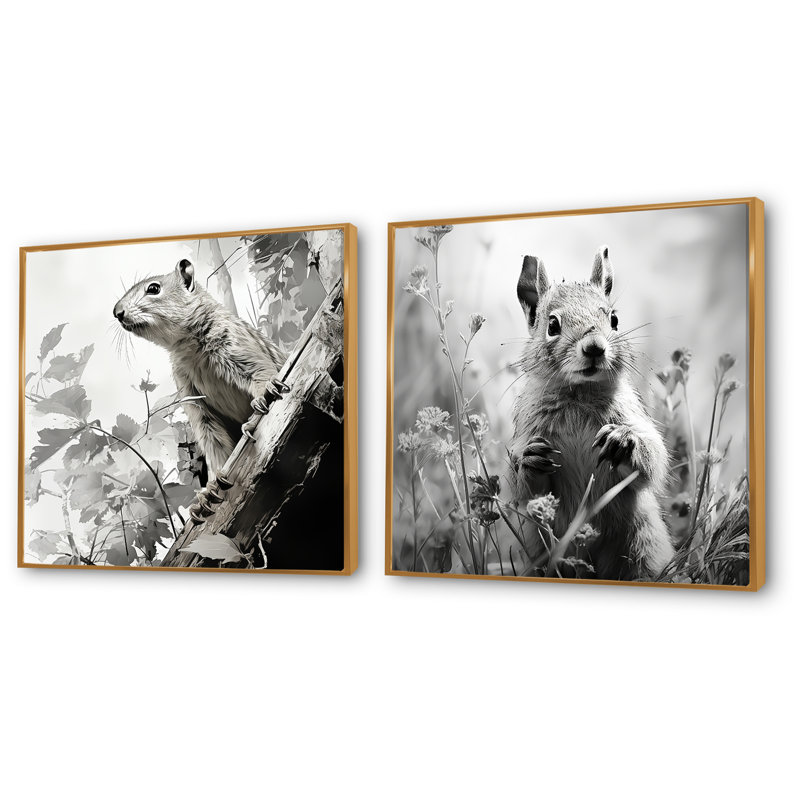 Noir, blanc, écureuil, forêt, acrobate I - ensemble d'œuvres d'art sur toile écureuil, Encadrement doré