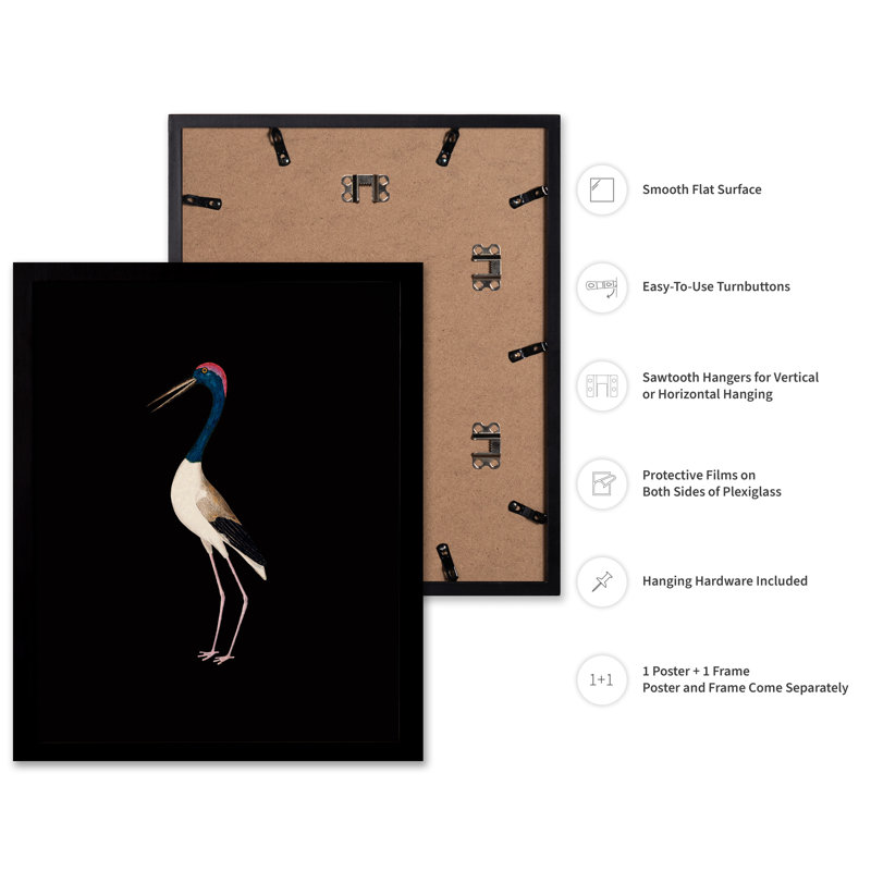 Grue n ° 1, Black Framed, Poster, 08"H x 10"W
