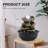 Indoor Fountain