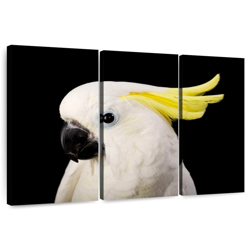 Brampt Sulfur Crested Cockatoo Head, 28" H x 45" W