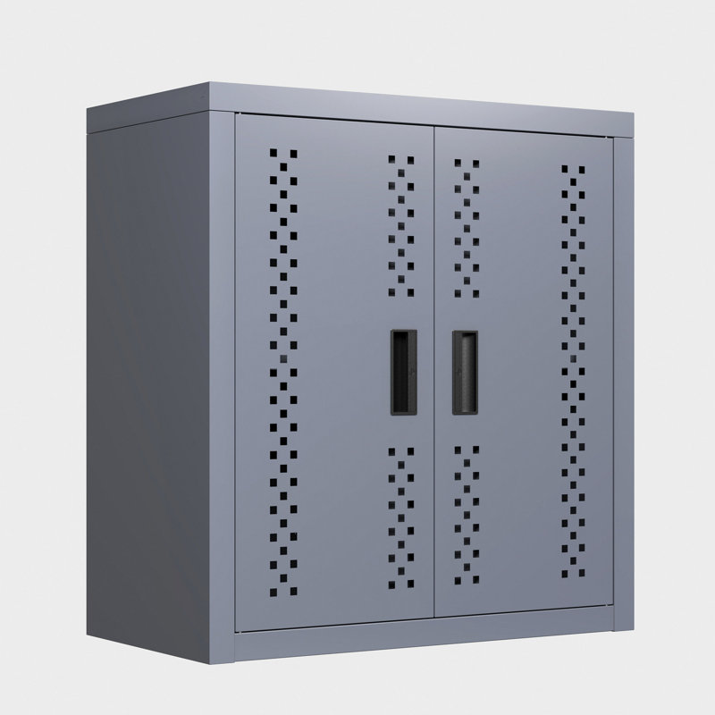 Armoire de garage en métal avec porte, armoire de rangement murale, armoire à outils flottante pour sous-sols, cuisines et entrepôts