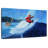 Surfer Joe-1358985317