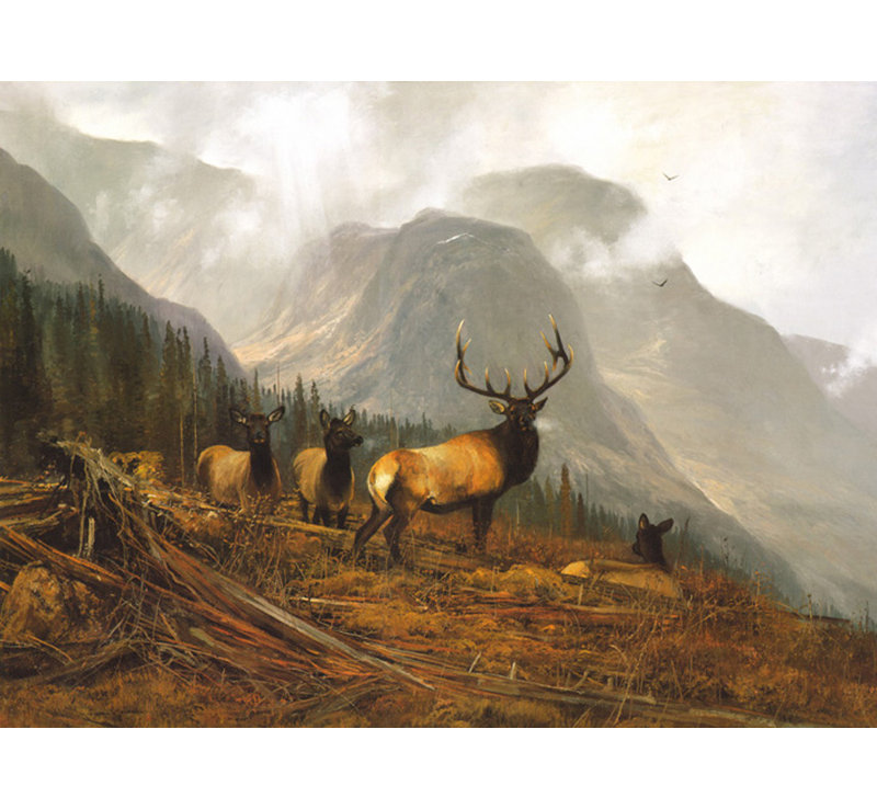 Bookcliffs Elk I, H 13 po x l 18 po