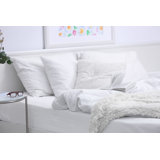 T-200 Thread Count Flat Sheet 6 PK By Rifz