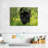 Brampt Lurking Black Jaguar-107696027