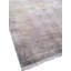 Oriental Area Rug in Gray