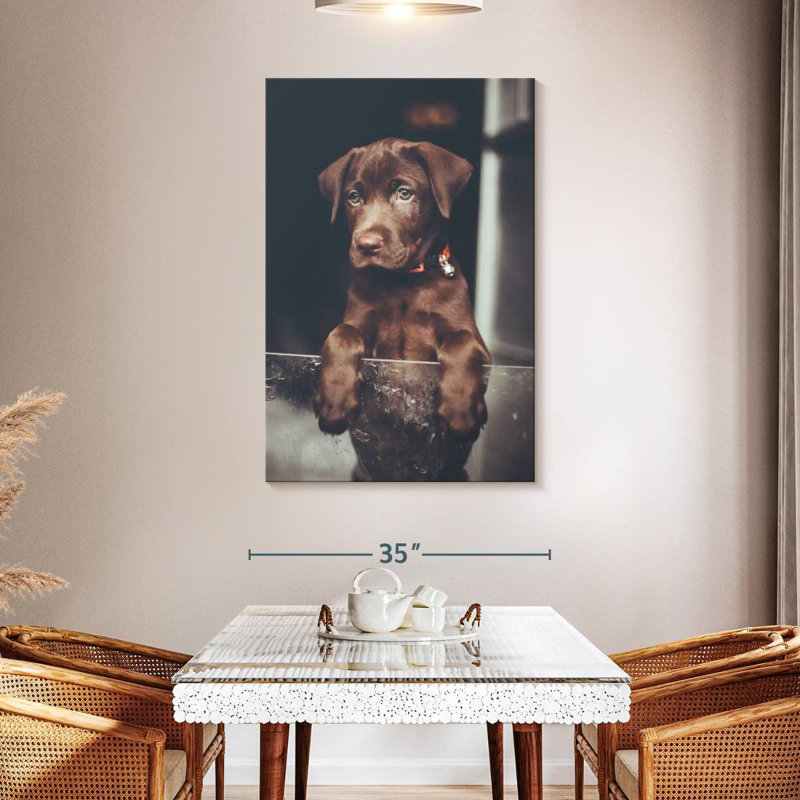 Brampt Chocolate Labrador Puppy, 48" H x 32" W