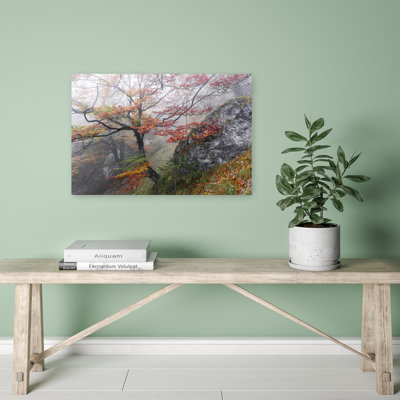 «Foggy Woods», reproduction d'art contemporain abstrait forêt d'automne
