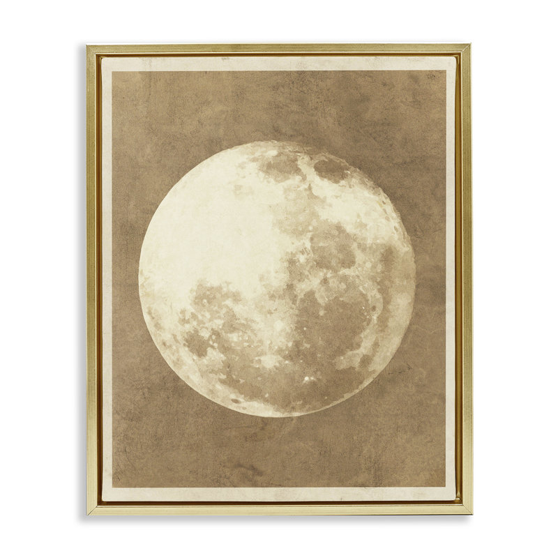 «Rustic Neutral Moon Gray» par Daphne Polselli, H 31 po x l 25 po, Cadre flottant métallique doré
