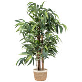 59'' Faux Bamboo Tree in Cement Basket