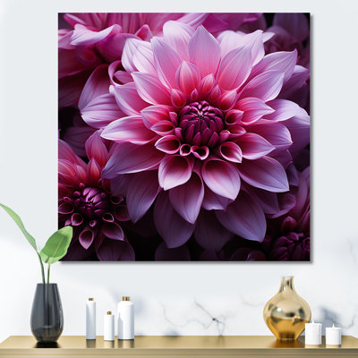 " Magenta Melody I "