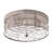 2-Lamp Clear Glass Grey Brown Adjustable Iron Ceiling Light
