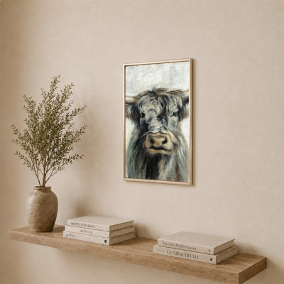 Vache Highland