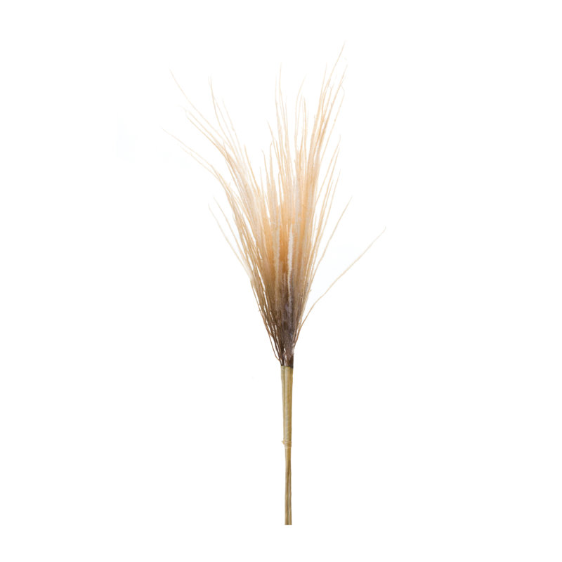 Ensemble de 2 panaches de gazon, Brun
